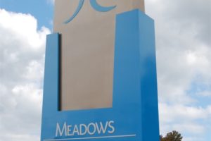 meadows regional medical center7